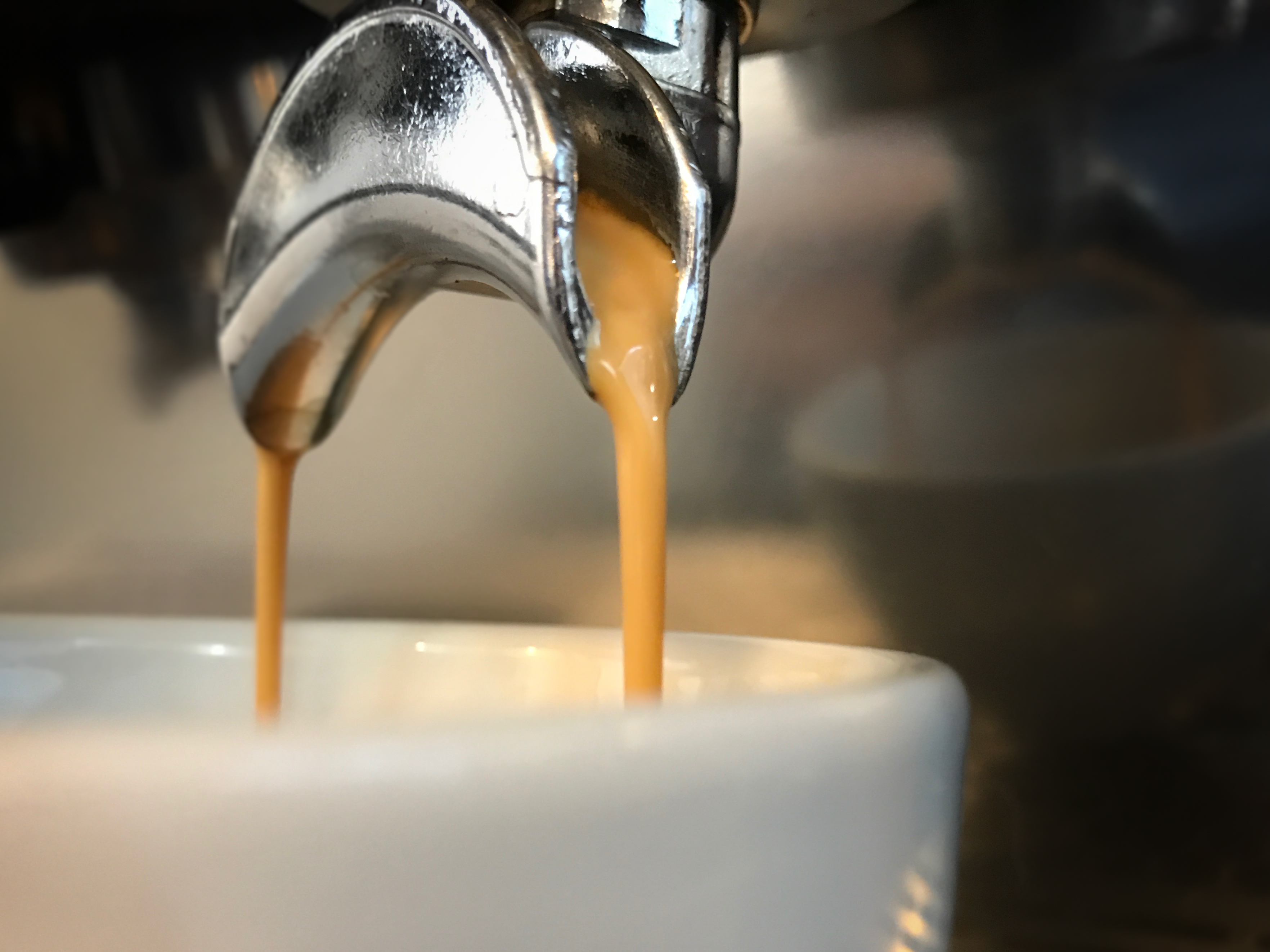 Café de especialidad